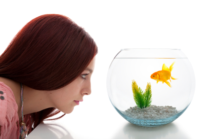 Young woman looking at fish tank